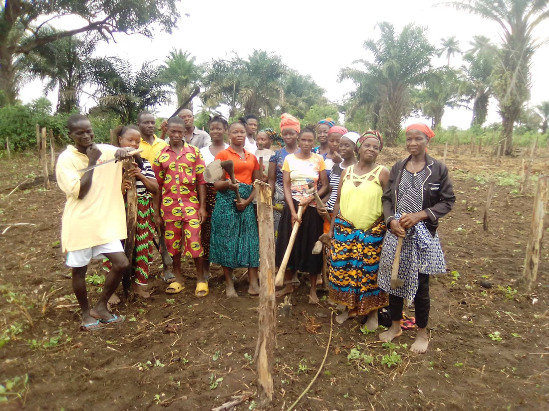 Village Volunteers farmers of Fatu Pondo Foundation ready to learn how to produce their own food